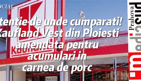 program kaufland vest|Kaufland Ploiești